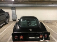 1978 Chevrolet Corvette for sale in Michigan (ID-96053)