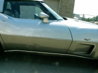 1978 Chevrolet Corvette for sale in Michigan (ID-107266)