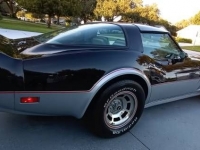 1978 Chevrolet Corvette for sale in Michigan (ID-108334)
