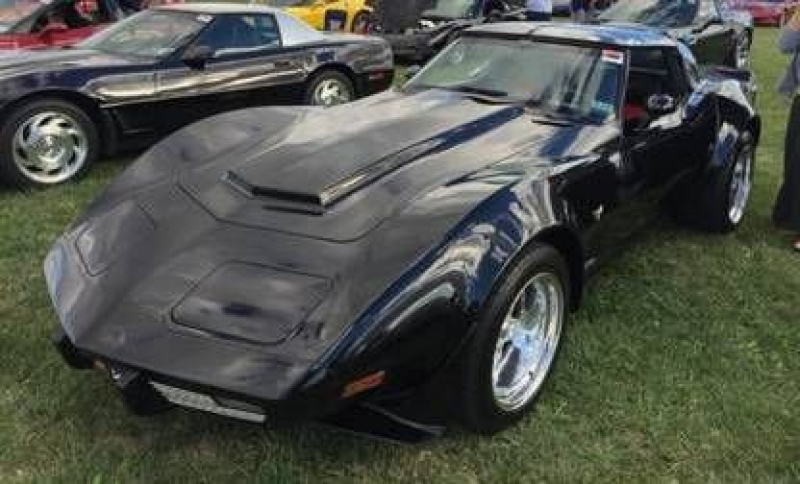 1978 Chevrolet Corvette for sale in Michigan (ID-109806)