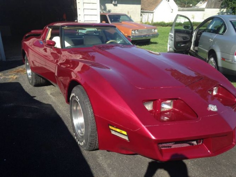 1978 Chevrolet Corvette for sale in Michigan (ID-111674)