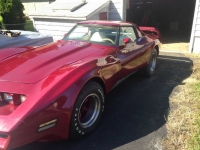 1978 Chevrolet Corvette for sale in Michigan (ID-111674)