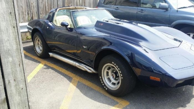 1978 Chevrolet Corvette for sale in Michigan (ID-112242)