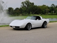 1978 Chevrolet Corvette for sale (ID-118495)