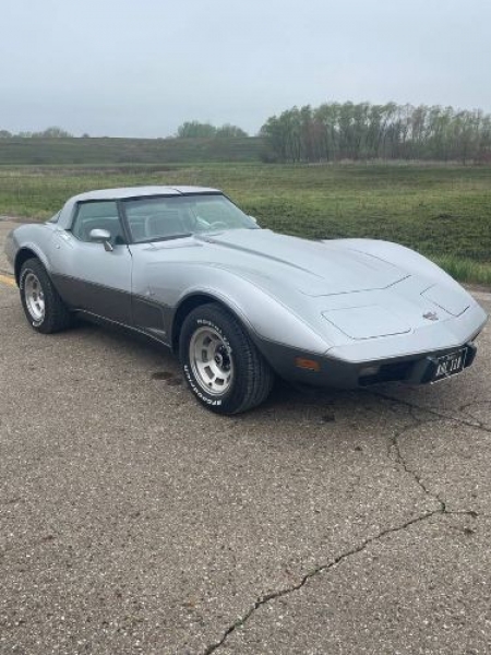 1978 Chevrolet Corvette for sale in Michigan (ID-119368)