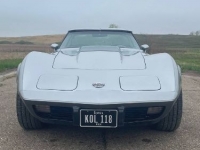 1978 Chevrolet Corvette for sale in Michigan (ID-119368)
