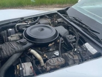 1978 Chevrolet Corvette for sale in Michigan (ID-119368)