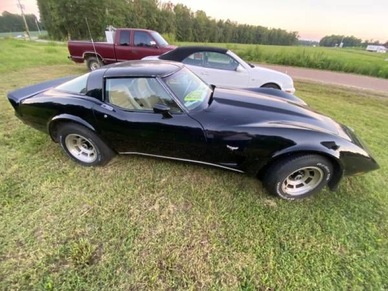 1978 Chevrolet Corvette for sale in Michigan (ID-120308) 1978 Chevrolet Corvette for sale in Michigan (ID-120308)