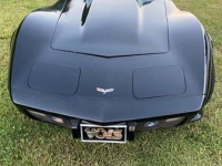 1978 Chevrolet Corvette for sale in Michigan (ID-120308)