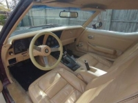 1978 Chevrolet Corvette for sale in Michigan (ID-120872)