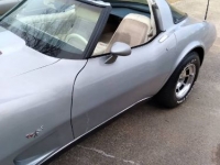 1978 Chevrolet Corvette for sale in Michigan (ID-120902)