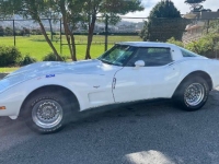 1978 Chevrolet Corvette for sale in Michigan (ID-122508)