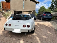 1978 Chevrolet Corvette for sale in Michigan (ID-122891)
