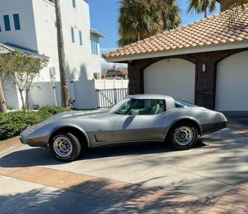 1978 Chevrolet Corvette for sale in Michigan (ID-124051)