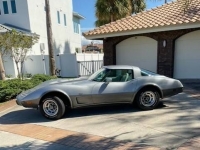 1978 Chevrolet Corvette for sale in Michigan (ID-124051)