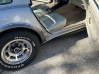 1978 Chevrolet Corvette for sale in Michigan (ID-124051)