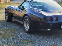 1978 Chevrolet Corvette for sale in Michigan (ID-125151)