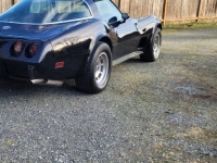 1978 Chevrolet Corvette for sale in Michigan (ID-125151)