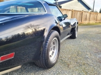1978 Chevrolet Corvette for sale in Michigan (ID-125151)