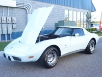 1978 Chevrolet Corvette for sale in Michigan (ID-127414)