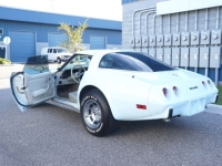 1978 Chevrolet Corvette for sale in Michigan (ID-127414)