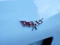1978 Chevrolet Corvette for sale in Michigan (ID-127414)