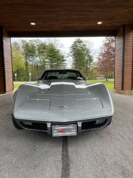 1978 Chevrolet Corvette for sale in Michigan (ID-130106)