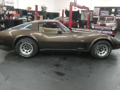 1978 Chevrolet Corvette for sale in Indiana