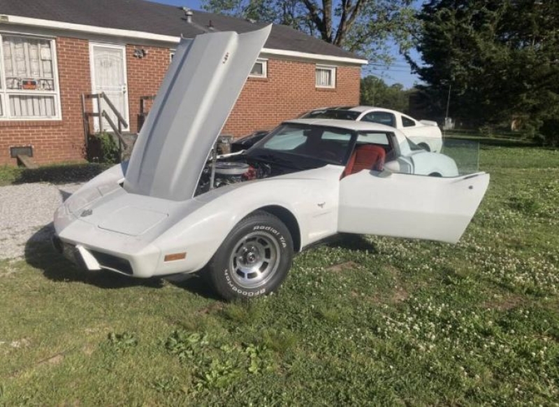 1978 Chevrolet Corvette for sale in Michigan (ID-135472)