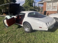 1978 Chevrolet Corvette for sale in Michigan (ID-135472)