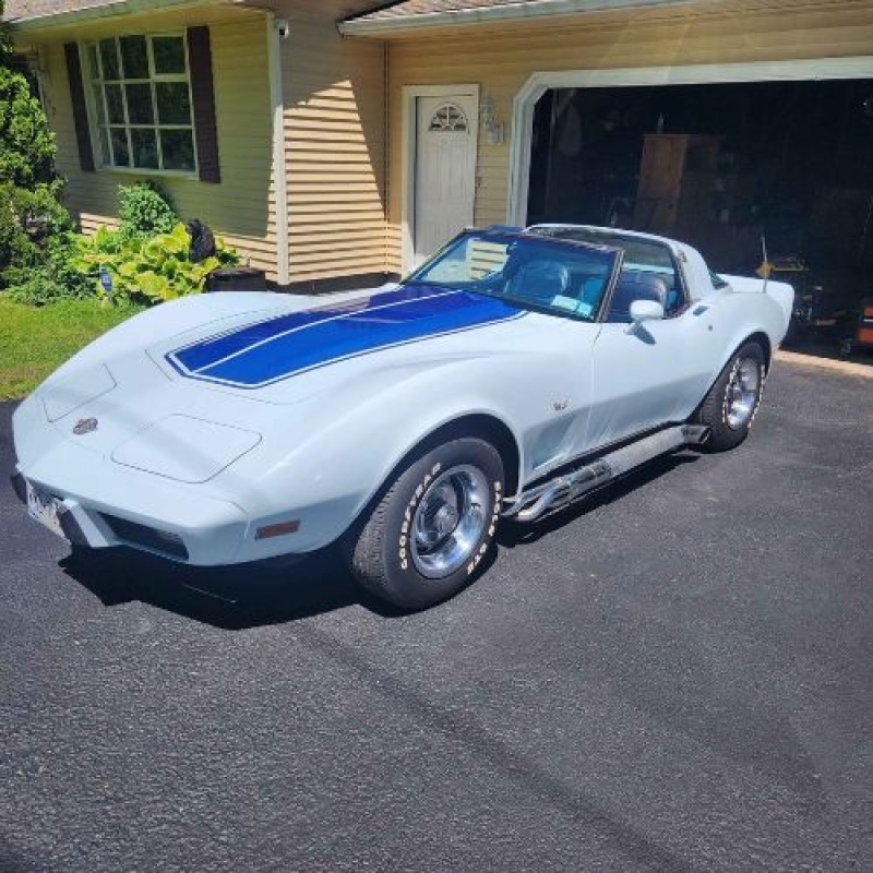 1978 Chevrolet Corvette for sale in Michigan (ID-135516)