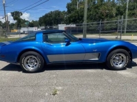 1978 Chevrolet Corvette for sale in Michigan (ID-135893)