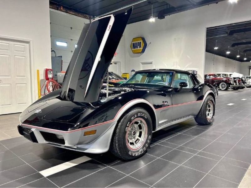 1978 Chevrolet Corvette for sale in Michigan (ID-135960)