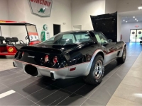 1978 Chevrolet Corvette for sale in Michigan (ID-135960)