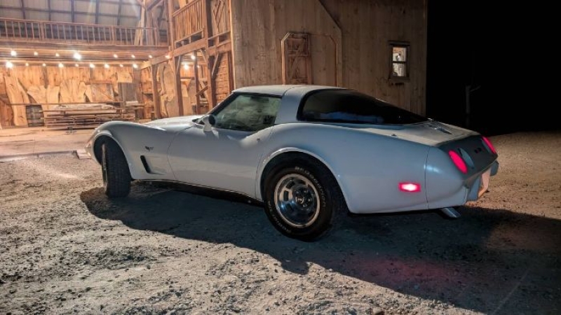 1978 Chevrolet Corvette for sale in Michigan (ID-138727)