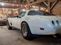 1978 Chevrolet Corvette for sale in Michigan (ID-138727)