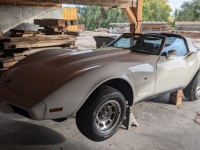 1978 Chevrolet Corvette for sale in Michigan (ID-138727)