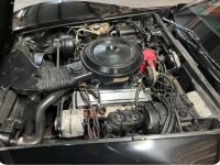 1978 Chevrolet Corvette for sale in Michigan (ID-139210)