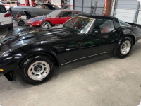 1978 Chevrolet Corvette for sale in Michigan (ID-139210)