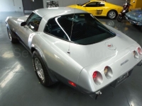 1978 Chevrolet Corvette for sale in Michigan (ID-140482)