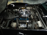 1978 Chevrolet Corvette for sale in Michigan (ID-140495)