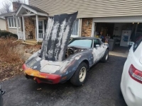 1978 Chevrolet Corvette for sale in Michigan (ID-140980)