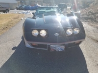 1978 Chevrolet Corvette for sale in Addison, Illinois (ID-141236)