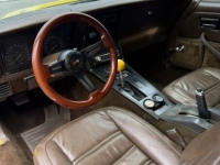 1978 Chevrolet Corvette for sale in Michigan (ID-142166)