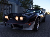 1978 Chevrolet Corvette for sale in Michigan (ID-145654)