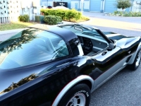 1978 Chevrolet Corvette for sale in Michigan (ID-145654)