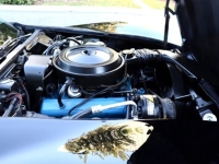 1978 Chevrolet Corvette for sale in Michigan (ID-145654)
