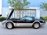 1978 Chevrolet Corvette for sale in Michigan (ID-145654)