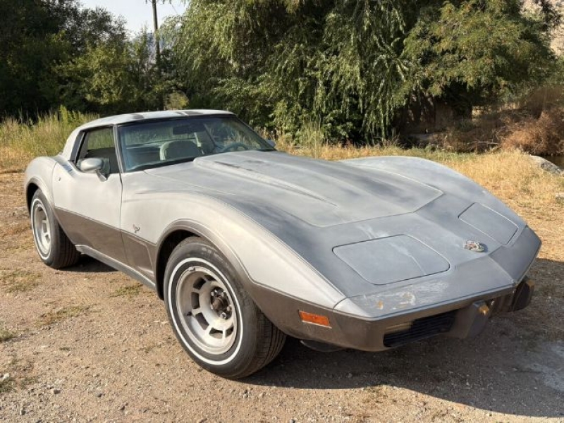 1978 Chevrolet Corvette for sale in Michigan (ID-146426)