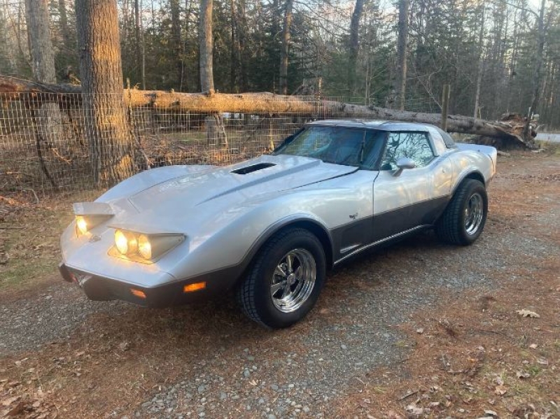 1978 Chevrolet Corvette for sale in Michigan (ID-155385)